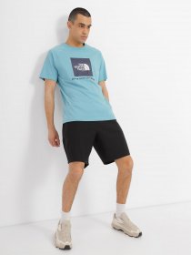 Футболка The North Face Raglan Red Вox модель NF0A3BQOIWO1 Футболка The North Face Raglan Red Вox модель NF0A3BQOIWO1 Фото