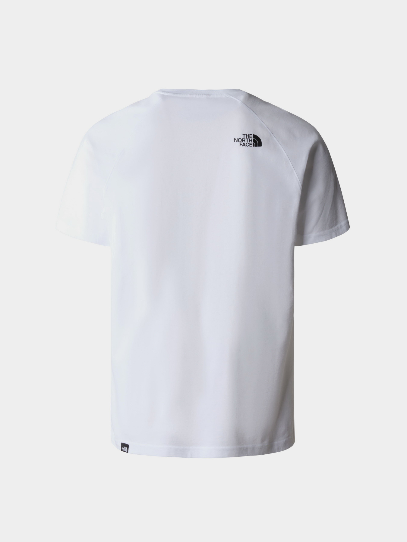 Футболка The North Face Raglan Red Вox модель NF0A3BQOIZB1 Фото