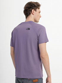 Футболка The North Face Red Box модель NF0A3BQON141 Фото