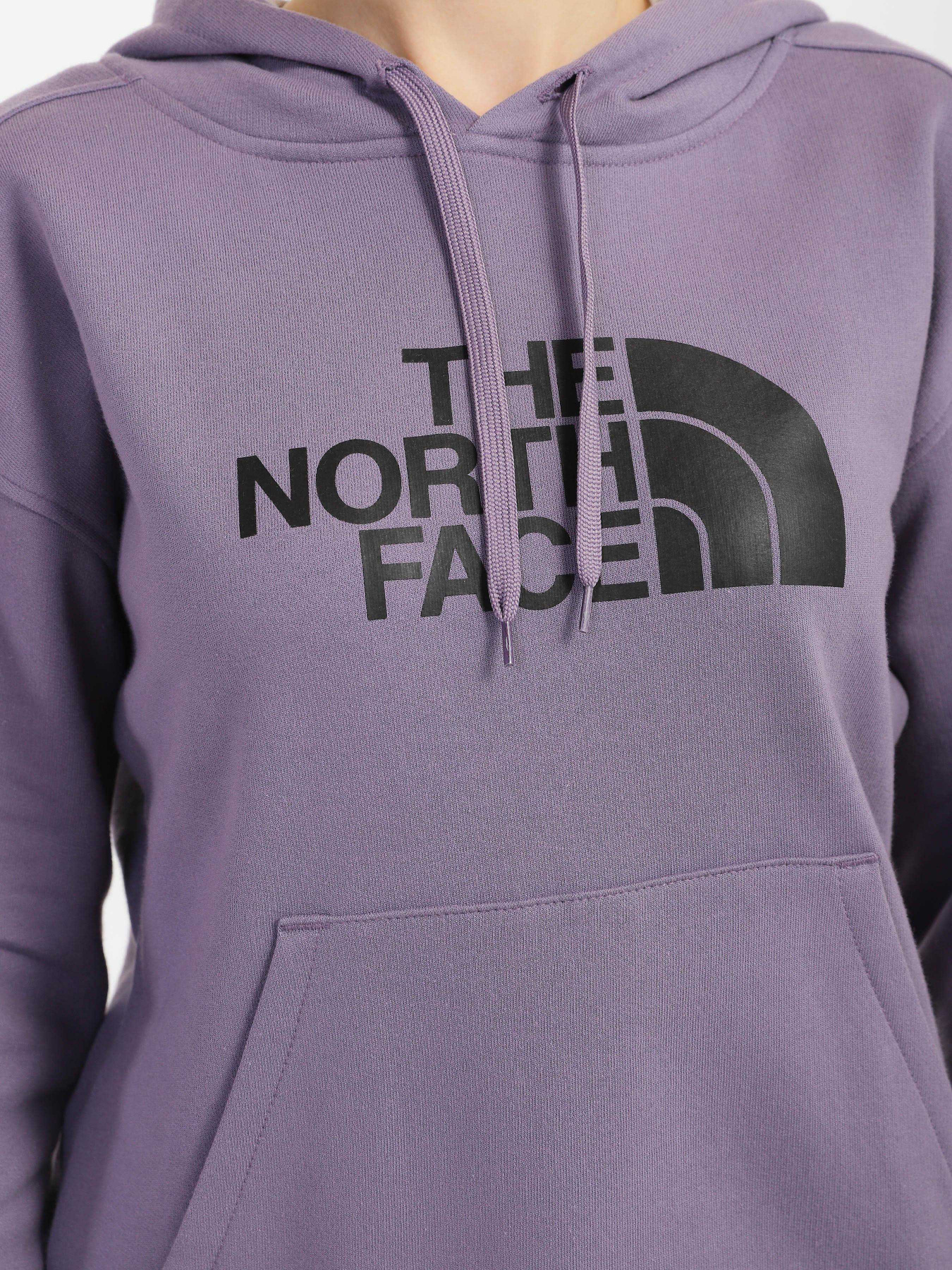 Худі The North Face Drew Peak Модель NF0A3RZ4N141 Фото