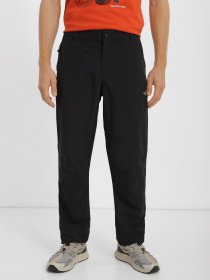 Штаны спортивные The North Face Tanken модель NF0A3RZYJK31 Фото