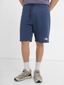 Шорты спортивные The North Face Standard модель NF0A3S4EHDC1 Фото