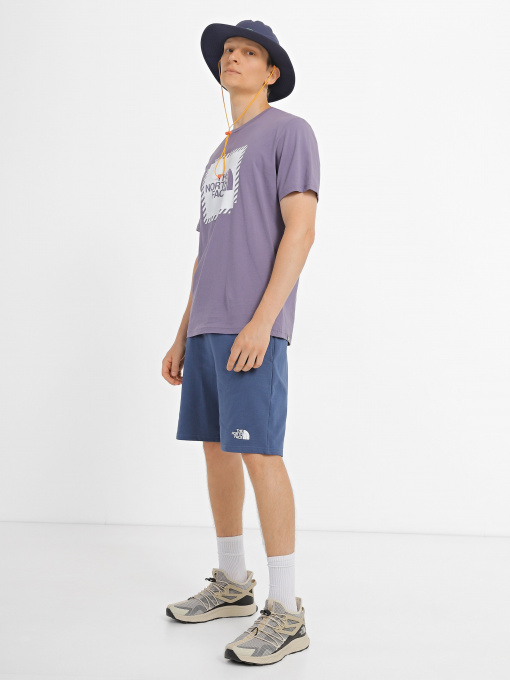 Шорты спортивные The North Face Standard модель NF0A3S4EHDC1 Фото