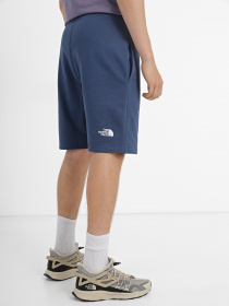 Спортивні шорти The North Face Standard модель NF0A3S4EHDC1 Фото