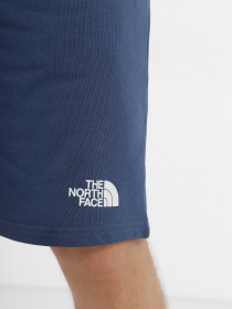 Спортивні шорти The North Face Standard модель NF0A3S4EHDC1 Фото