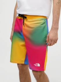 Шорты спортивные The North Face Standard модель NF0A3S4EIAX1 Фото