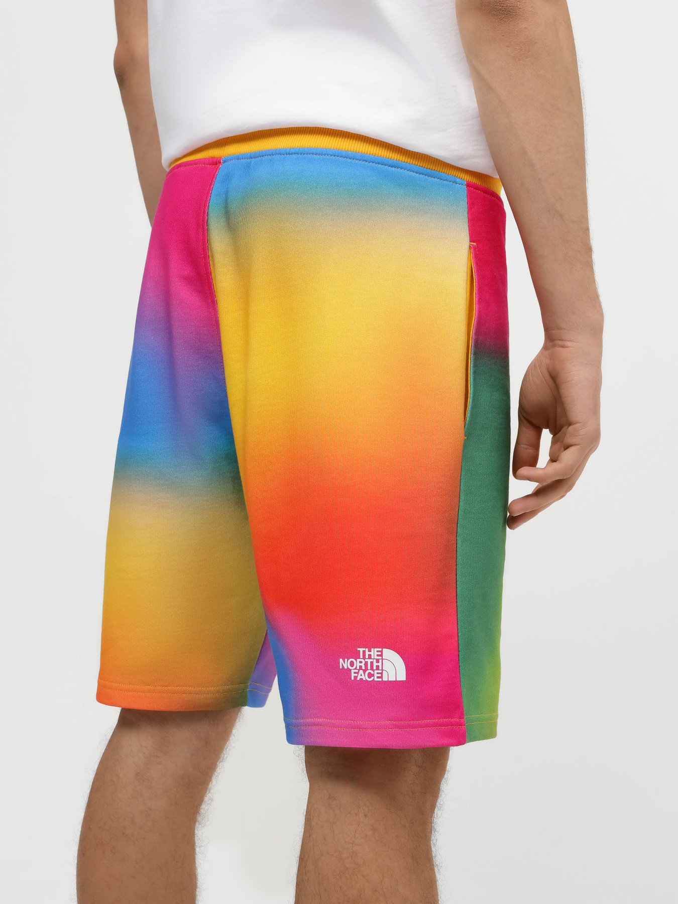 Спортивні шорти The North Face Standard модель NF0A3S4EIAX1 Фото