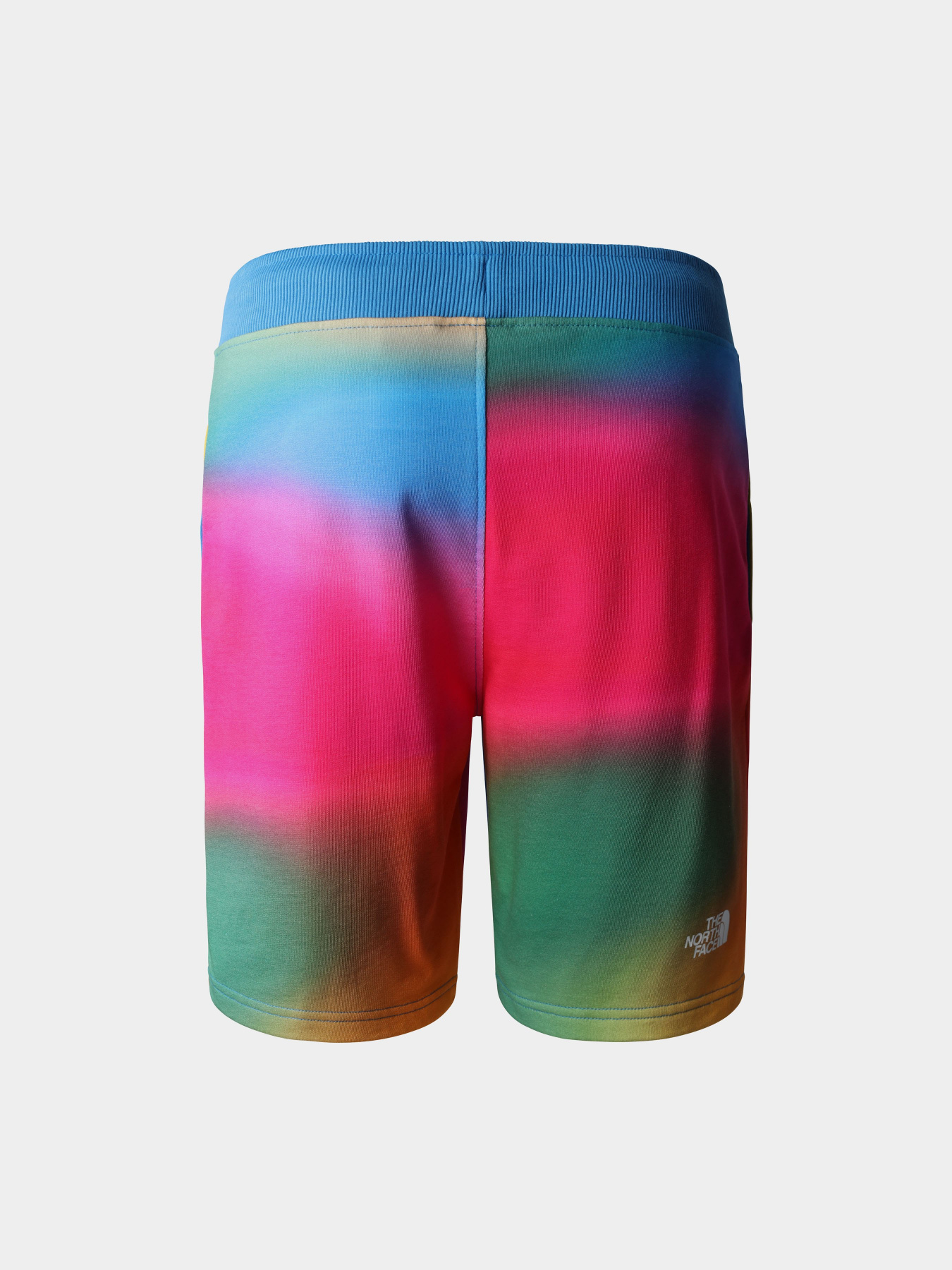 Спортивні шорти The North Face Standard модель NF0A3S4EIAX1 Фото