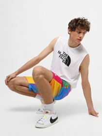 Спортивні шорти The North Face Standard модель NF0A3S4EIAX1 Фото