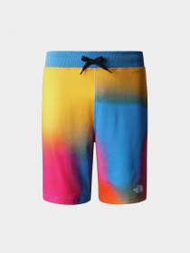 Спортивні шорти The North Face Standard модель NF0A3S4EIAX1 Фото