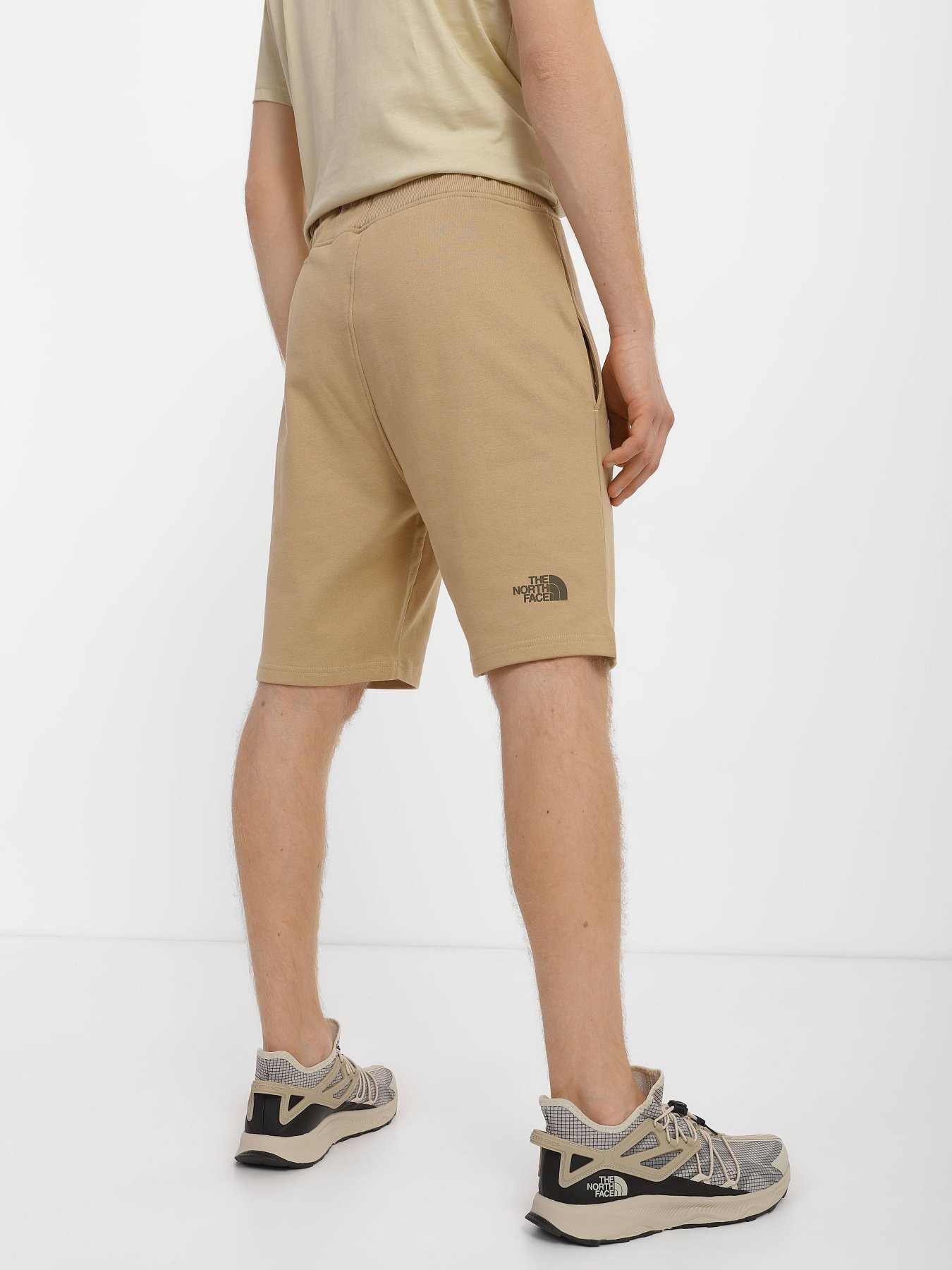 Шорты спортивные The North Face Standard модель NF0A3S4ELK51 Фото