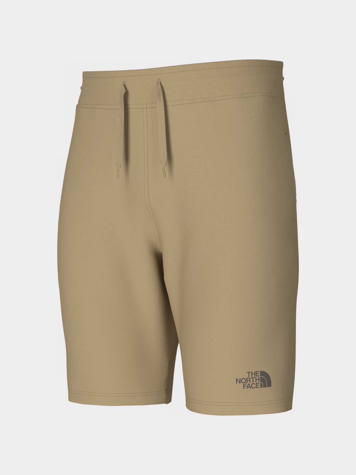 Спортивні шорти The North Face Standard модель NF0A3S4ELK51 Фото