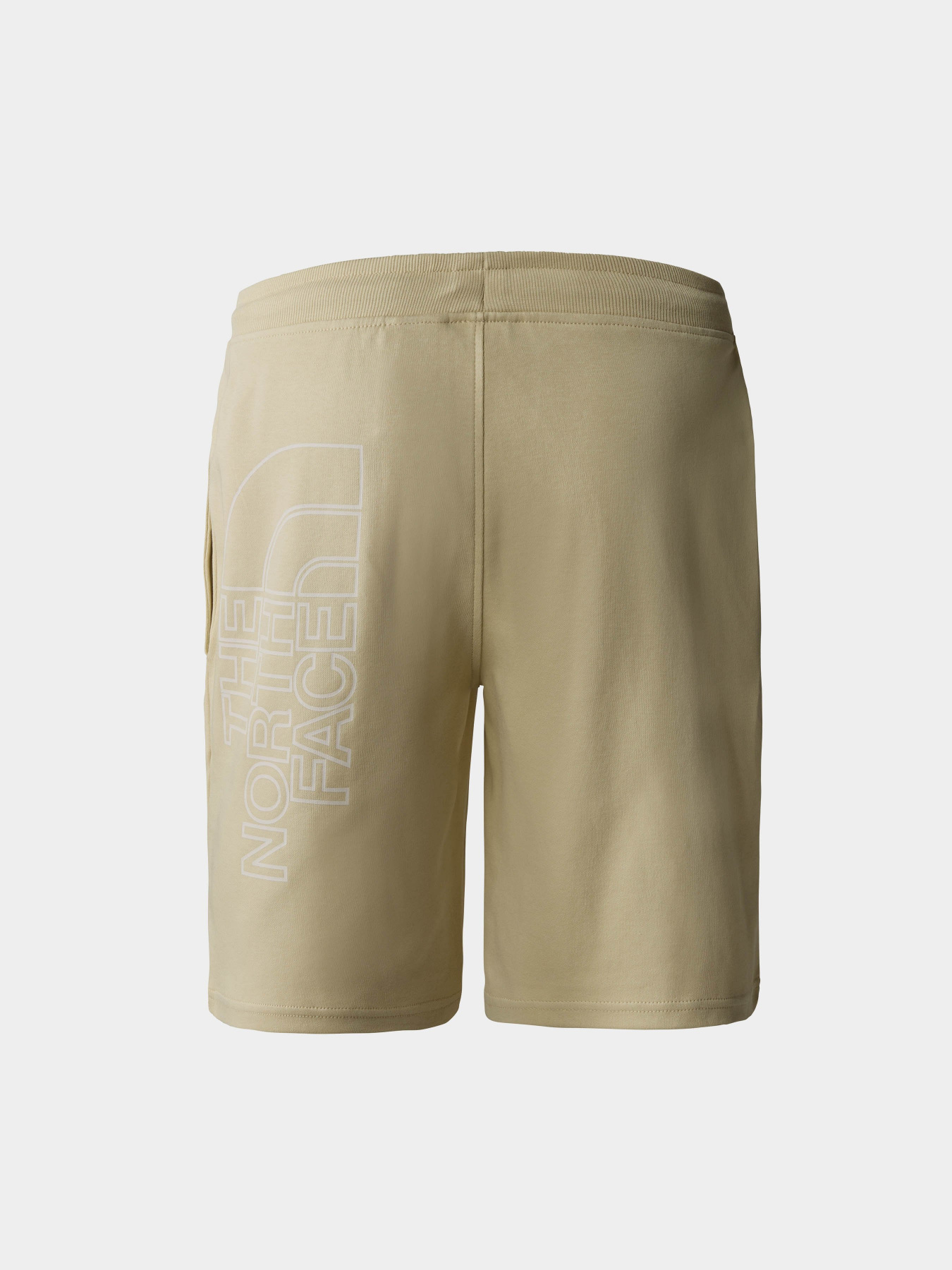 Шорты спортивные The North Face GRAPHIC модель NF0A3S4F3X41 Фото