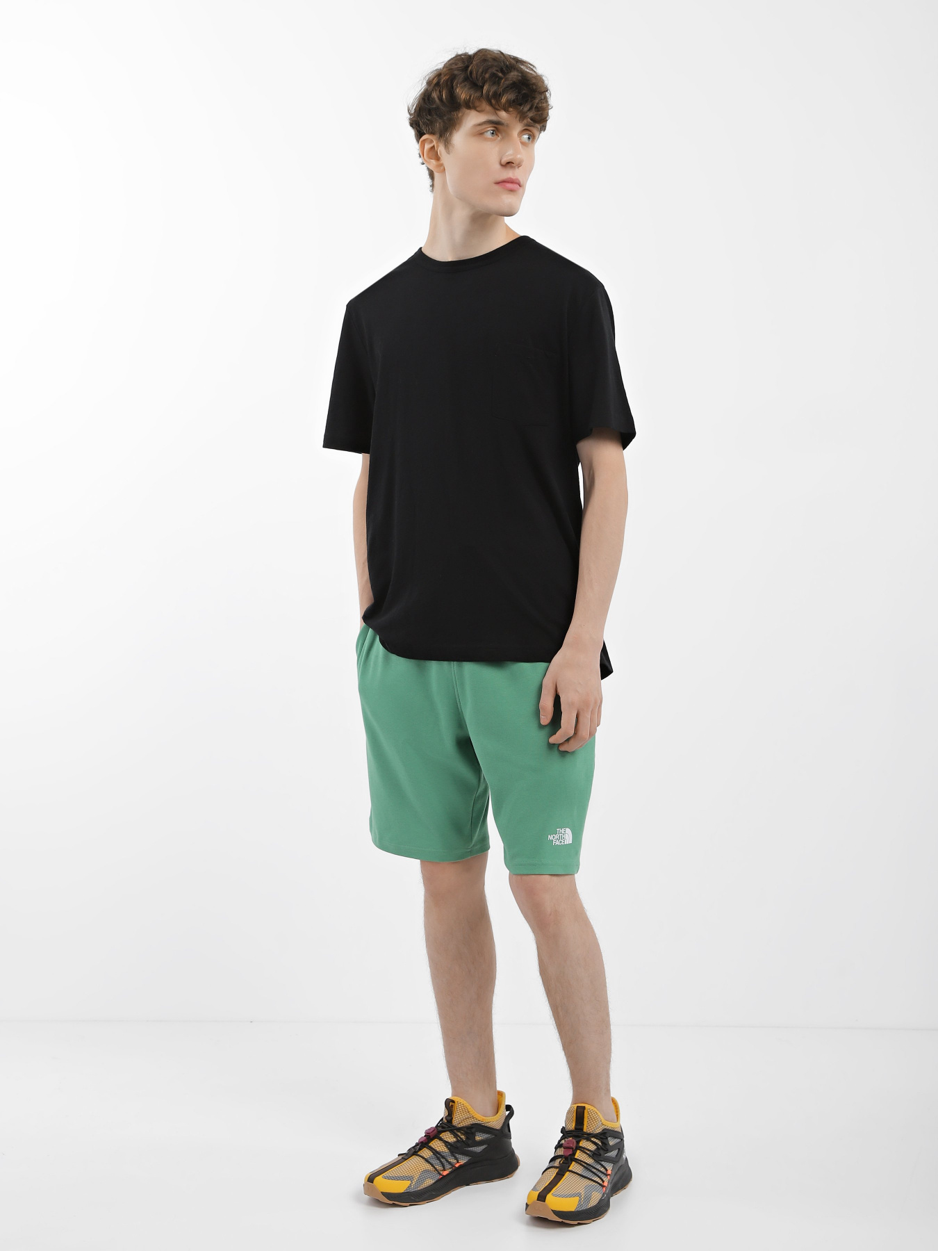 Шорты спортивные The North Face GRAPHIC модель NF0A3S4FN111 Фото