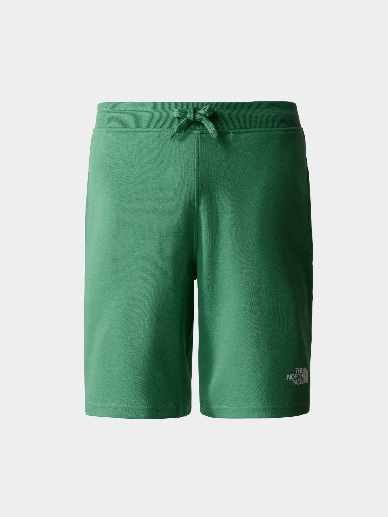 Шорты спортивные The North Face GRAPHIC модель NF0A3S4FN111 Фото