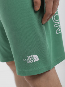 Шорты спортивные The North Face GRAPHIC модель NF0A3S4FN111 Фото