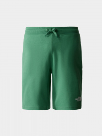 Шорты спортивные The North Face GRAPHIC модель NF0A3S4FN111 Фото