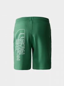 Шорты спортивные The North Face GRAPHIC модель NF0A3S4FN111 Фото