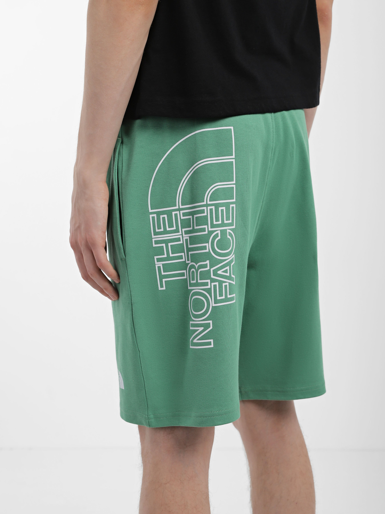 Спортивні шорти The North Face GRAPHIC модель NF0A3S4FN111 Спортивні шорти The North Face GRAPHIC модель NF0A3S4FN111 Фото