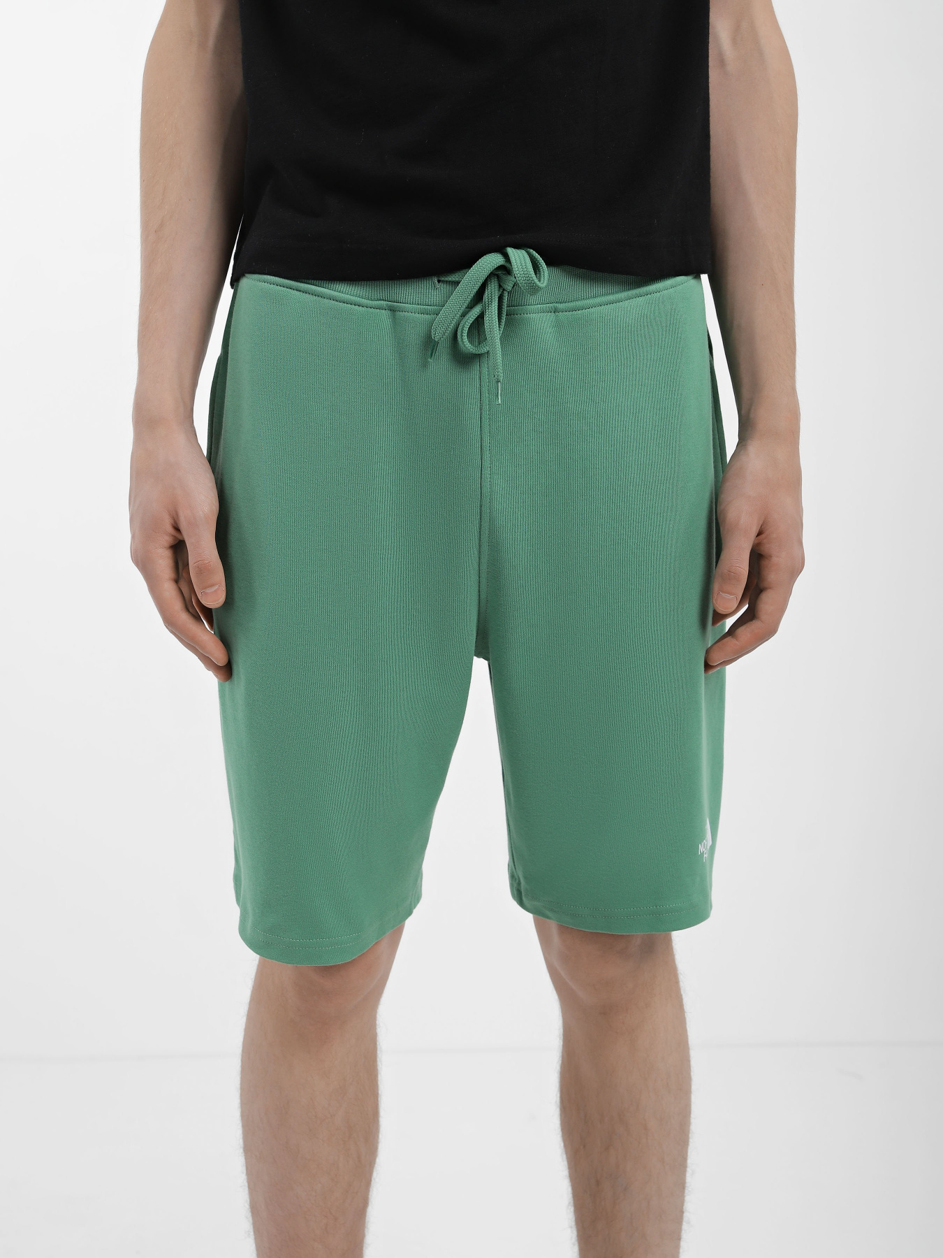 Спортивні шорти The North Face GRAPHIC модель NF0A3S4FN111 Спортивні шорти The North Face GRAPHIC модель NF0A3S4FN111 Фото