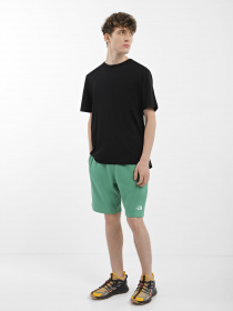 Спортивні шорти The North Face GRAPHIC модель NF0A3S4FN111 Спортивні шорти The North Face GRAPHIC модель NF0A3S4FN111 Фото