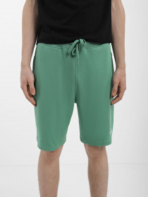 Шорты спортивные The North Face GRAPHIC модель NF0A3S4FN111 Фото