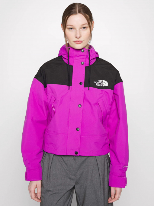 Демисезонная куртка The North Face Reign On модель NF0A3XDCLV11 Фото