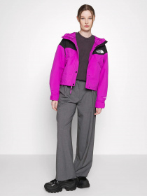 Демісезонна куртка The North Face Reign On модель NF0A3XDCLV11 Фото