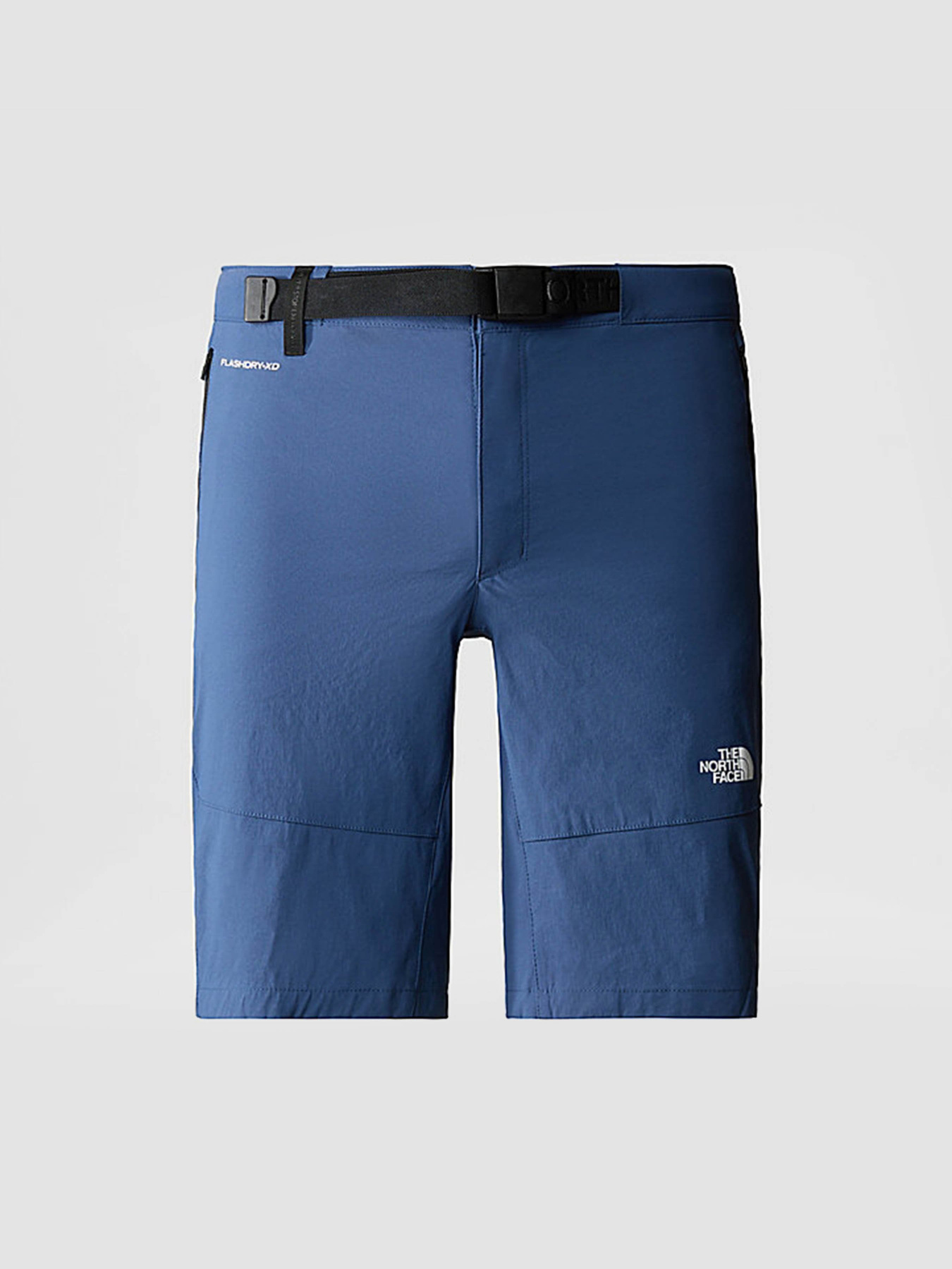 Шорты спортивные The North Face Lightning модель NF0A495OHDC1 Фото