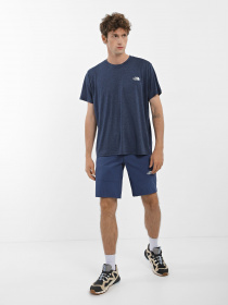 Спортивні шорти The North Face Lightning модель NF0A495OHDC1 Фото