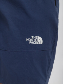 Спортивні шорти The North Face Lightning модель NF0A495OHDC1 Фото
