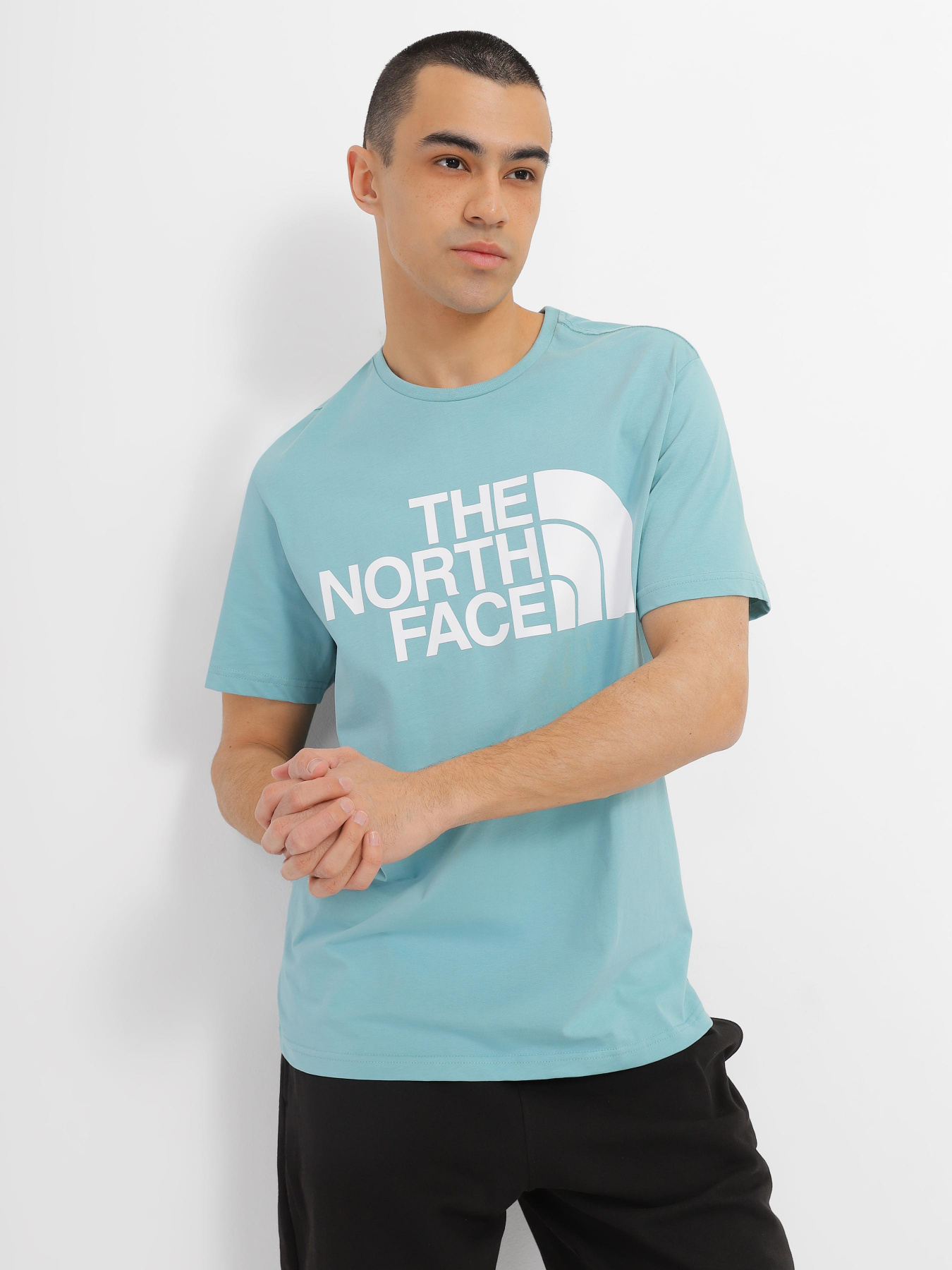 Футболка The North Face Standard модель NF0A4M7XLV21 Фото