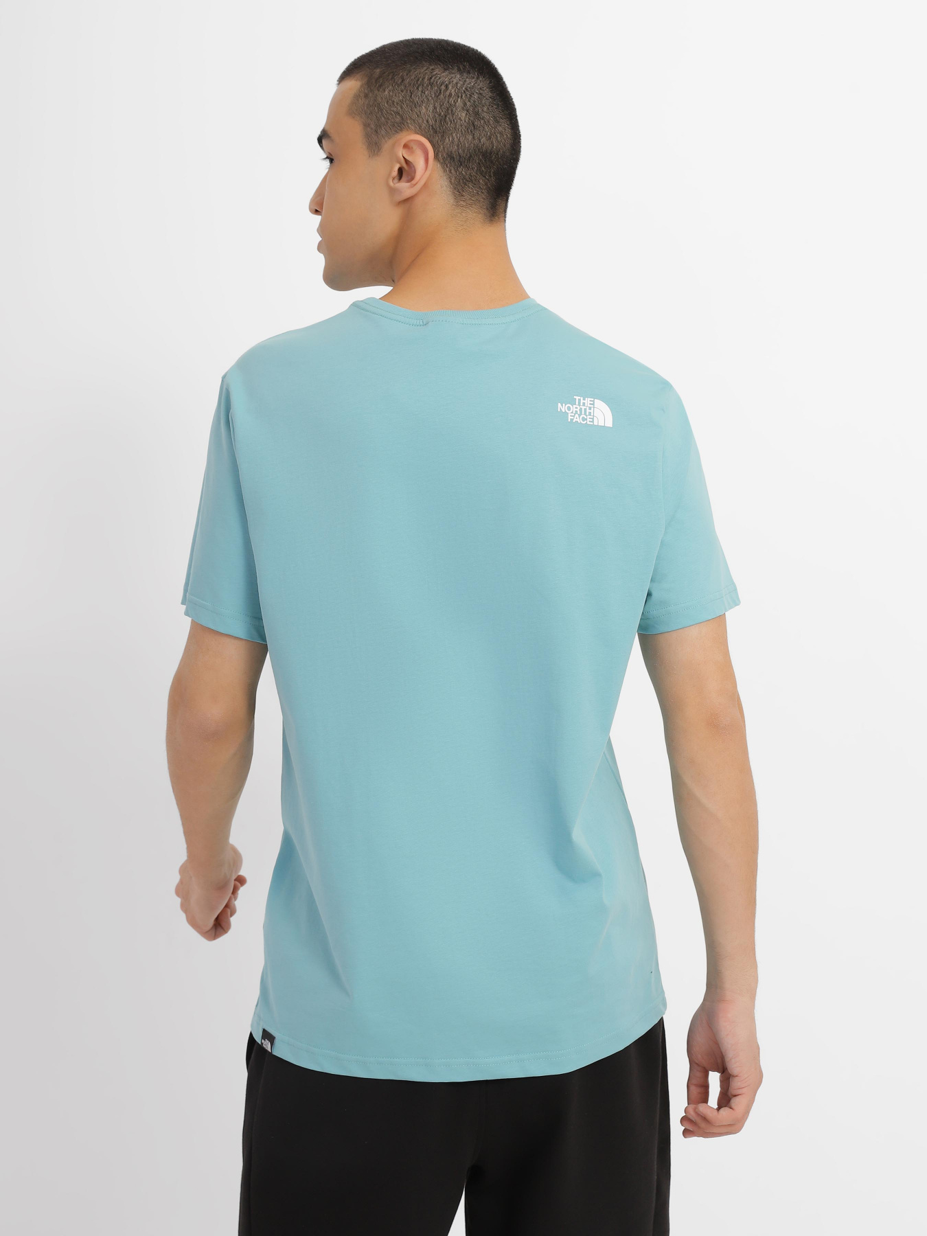 Футболка The North Face Standard модель NF0A4M7XLV21 Фото