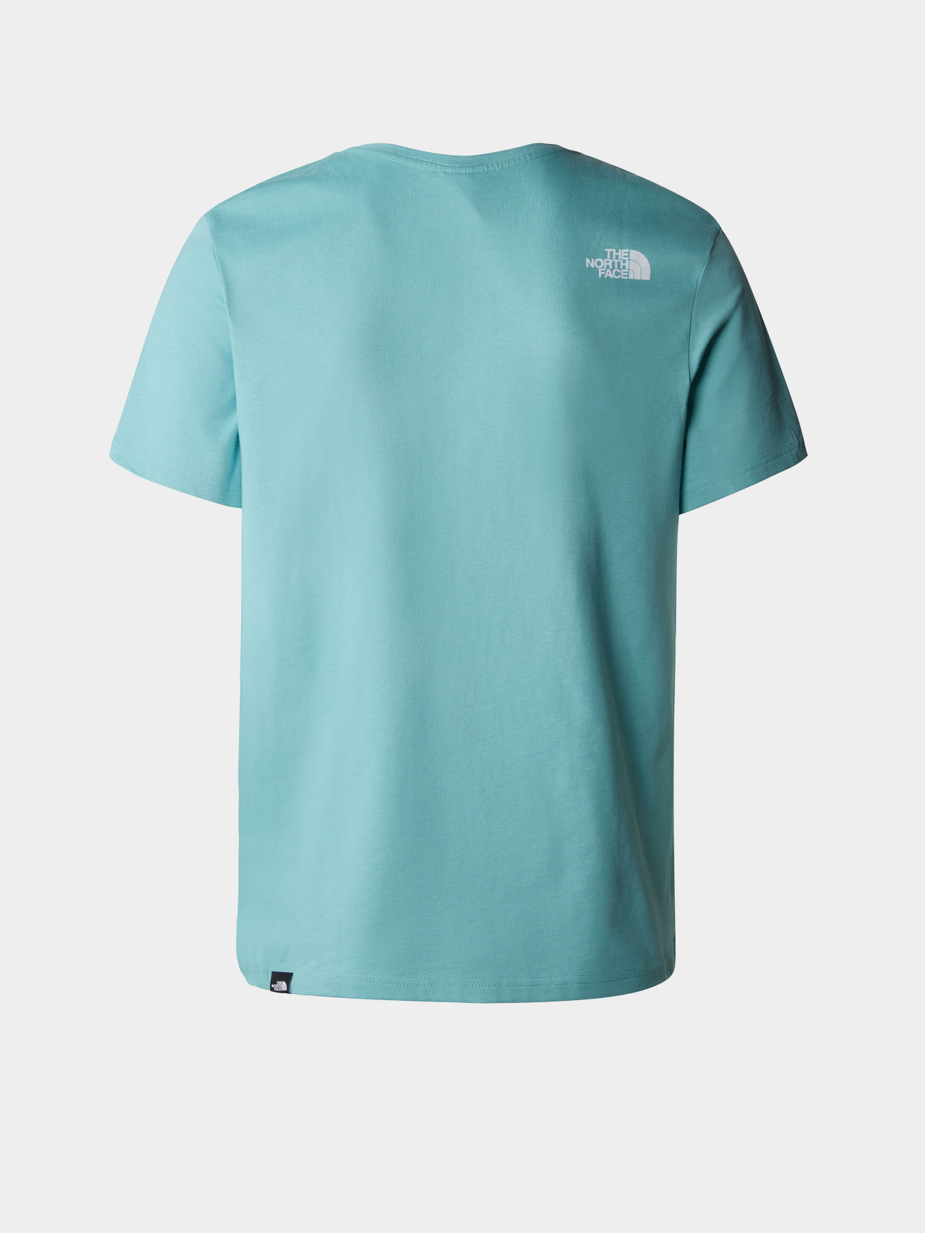 Футболка The North Face Standard модель NF0A4M7XLV21 Фото