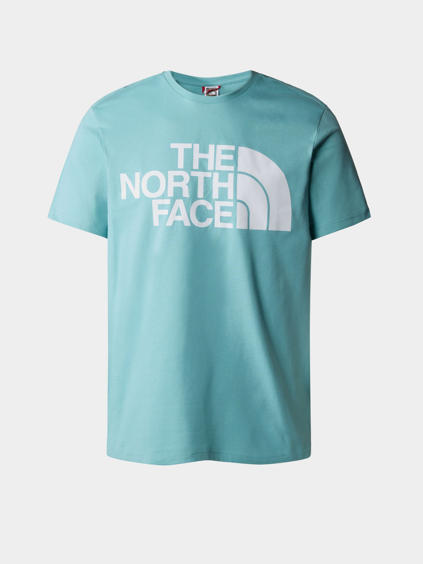 Футболка The North Face Standard модель NF0A4M7XLV21 Фото
