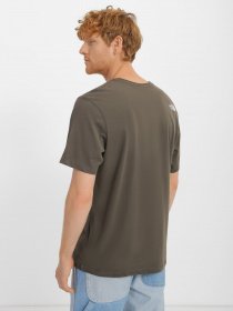 Футболка The North Face Half Dome модель NF0A4M8N21L1 Фото