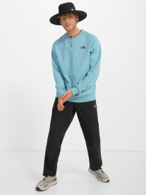 Світшот The North Face Red Box модель NF0A4SZ9IWO1 Фото