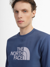 Свитшот The North Face Drew Peak Crew модель NF0A4T1EHDC1 Фото