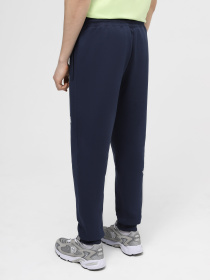 Штани спортивні The North Face M Nse Light Pant модель NF0A4T1F8K21 Фото