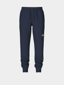 Спортивні штани The North Face M Nse Light Pant модель NF0A4T1F8K21 Фото