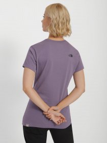 Футболка The North Face Easy модель NF0A4T1QN141 Фото