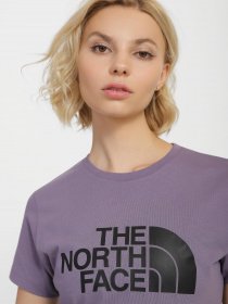 Футболка The North Face Easy модель NF0A4T1QN141 Фото