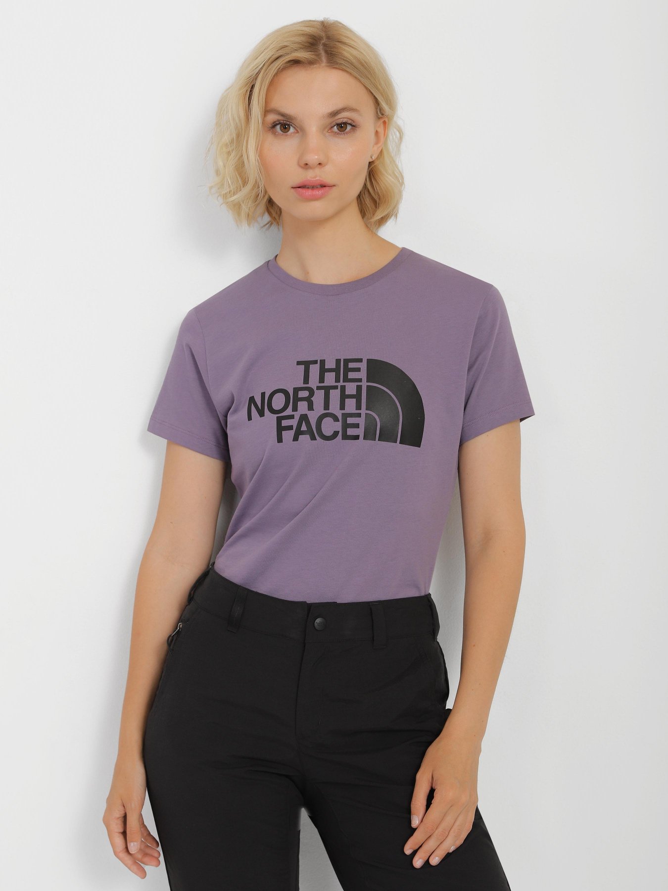 Футболка The North Face Easy модель NF0A4T1QN141 Фото