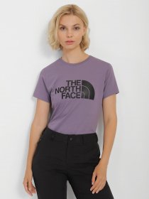 Футболка The North Face Easy модель NF0A4T1QN141 Фото