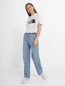 Футболка The North Face Easy модель NF0A4T1RFN41 Фото