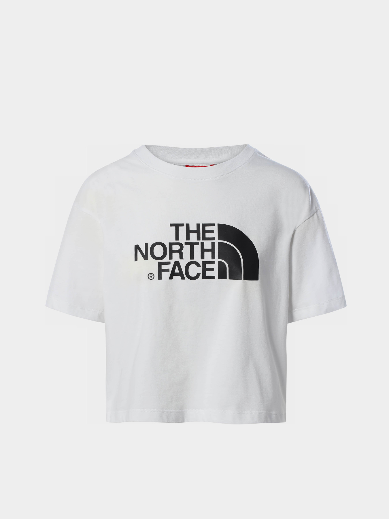 Футболка The North Face Easy модель NF0A4T1RFN41 Фото
