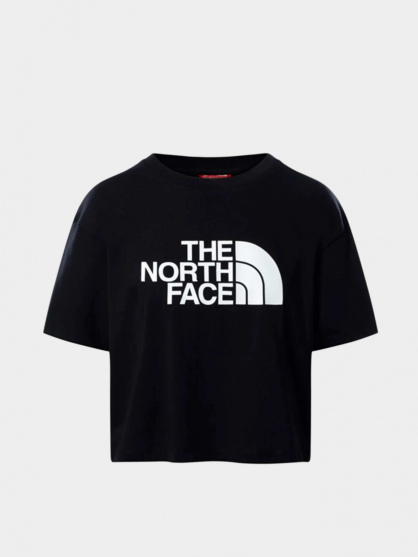 Футболка The North Face Easy модель NF0A4T1RJK31 Фото