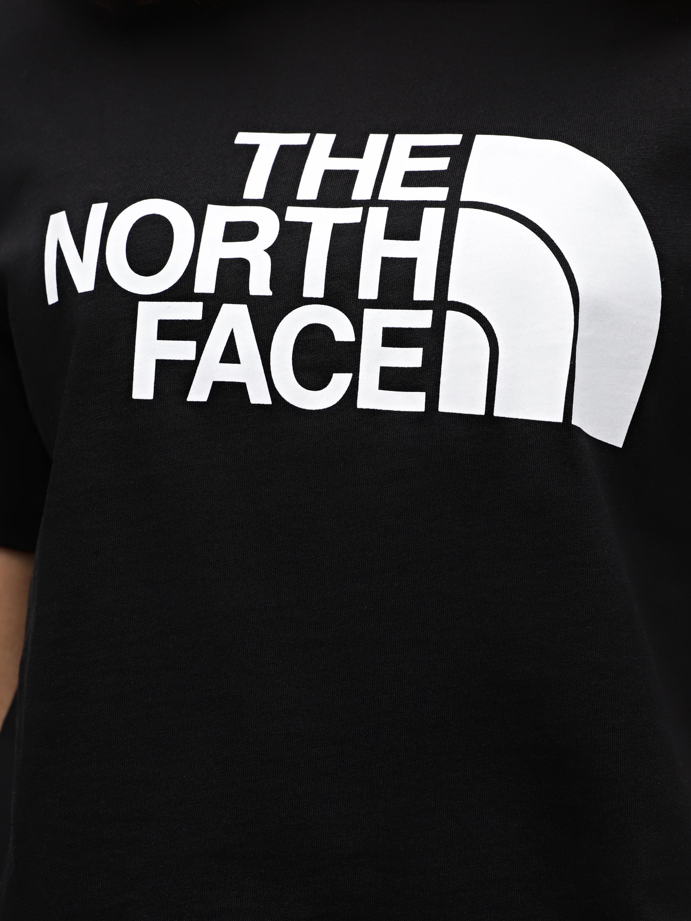 Футболка The North Face Easy модель NF0A4T1RJK31 Фото
