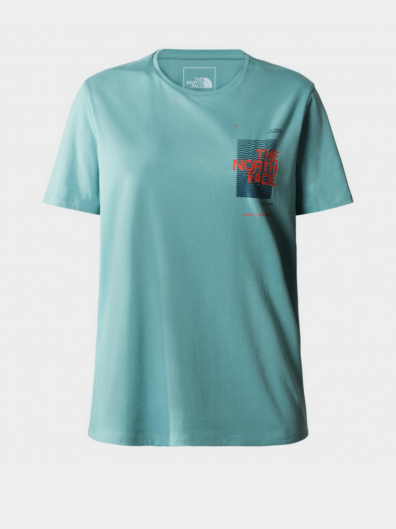 Футболка The North Face Foundation Graphic модель NF0A55B2LV21 Фото