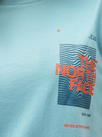 Футболка The North Face Foundation Graphic модель NF0A55B2LV21 Фото